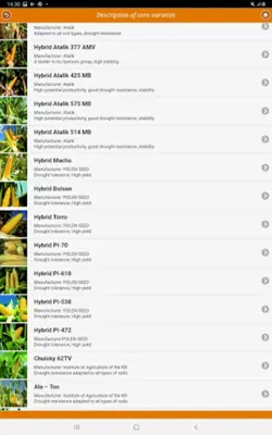 Кукуруза от А до Я android App screenshot 0